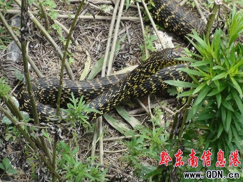 �����r(n��ng)����ַ�ԭ���B(t��i)�B(y��ng)�߫@�ɹ����D��