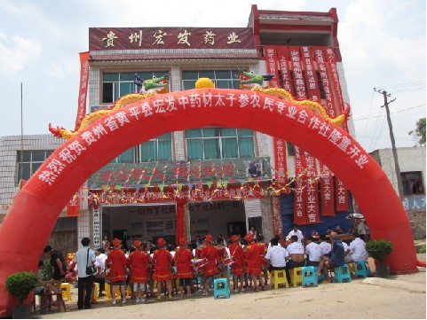 �Sƽ�h��l��ˎ��̫�Ӆ��r�񌣘I��������ʽ����