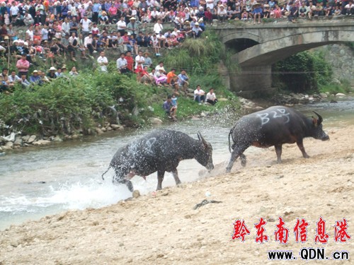 ��ɽ8�f������ͬ���g�ȡ����³��¹�(ji��)�����D��