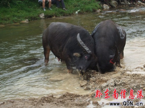 ��ɽ8�f������ͬ���g�ȡ����³��¹�(ji��)�����D��