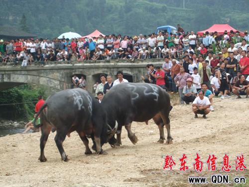 ��ɽ8�f������ͬ���g�ȡ����³��¹�(ji��)�����D��