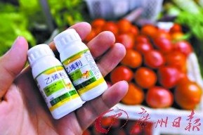 ֲ����섩���أ����t��һĨ������׃�t(�D)