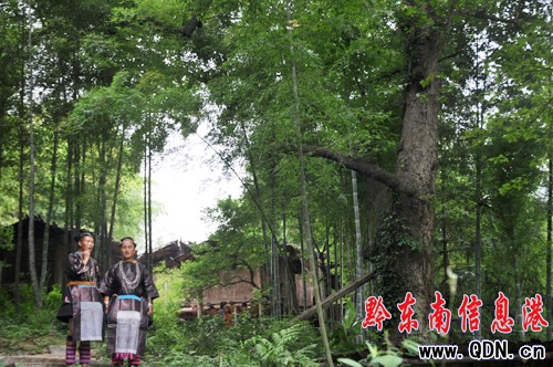 �l�����΄ٵء����F�݄�����ɳ���M�D��