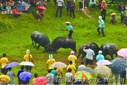 ��ɽ���&nbsp;�g�ȡ����¹������D��