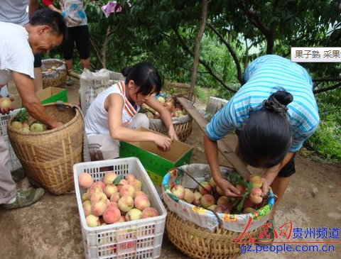 ��ˮ�������� ���r����500���fԪ���D��