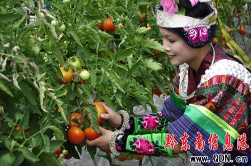 黔東南百名文藝家深入凱里市城郊采風(組圖)