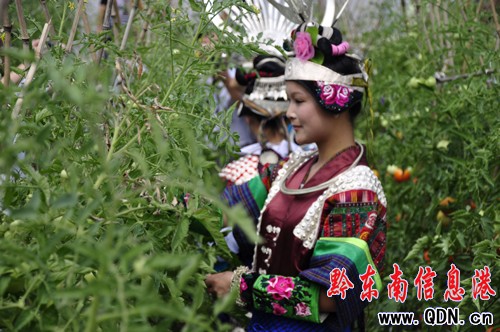 黔東南百名文藝家深入凱里市城郊采風(組圖)