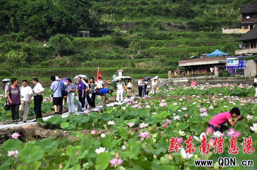 黔東南百名文藝家深入凱里市城郊采風(組圖)