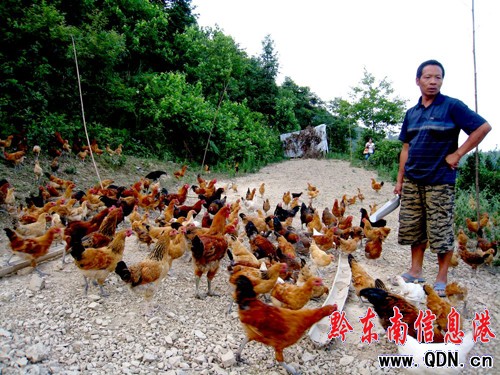 �얿h���F���u�����У��D��