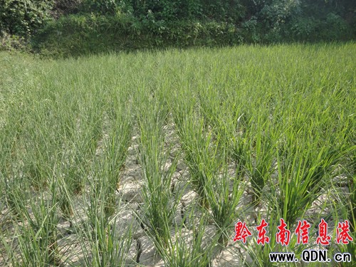 ��6�f�஀�r������ʡ�  ���D��