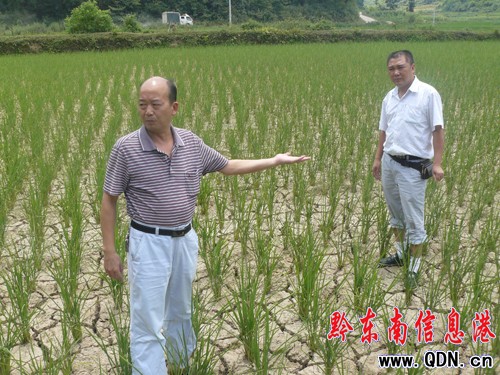 ��6�f�஀�r������ʡ�  ���D��