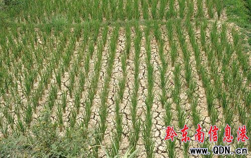 ��կ������m���� ��������Ȫ���Mˮ��կ(�D)