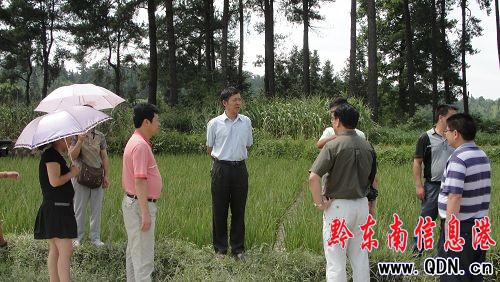 州人大副主任到錦屏縣調(diào)研旱情(圖)