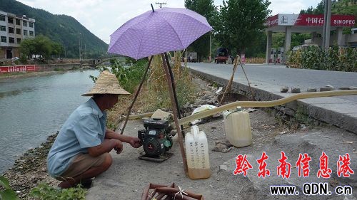 持續晴熱高溫天氣影響 三穗遇高溫干旱(組圖)