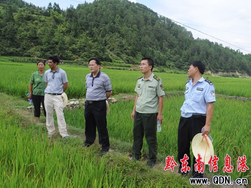百畝稻田嚴重受旱 黎平消防官兵送水解民憂