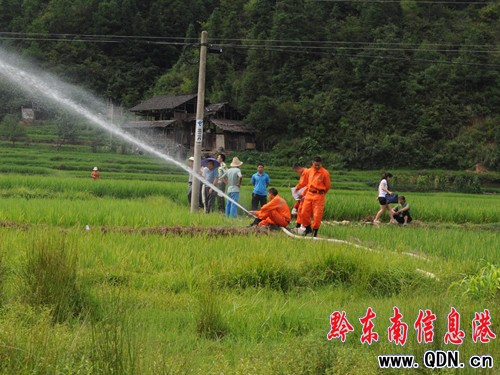 百畝稻田嚴重受旱 黎平消防官兵送水解民憂