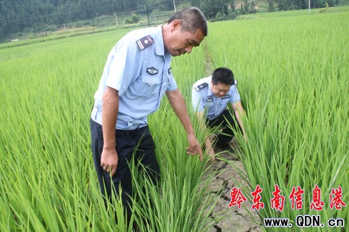 抗旱救災 榕江交警在行動(圖)