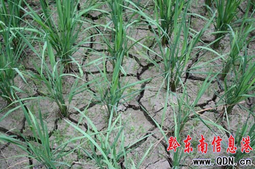 �\���h���^(q��)һ���挍һĻ���M�D��