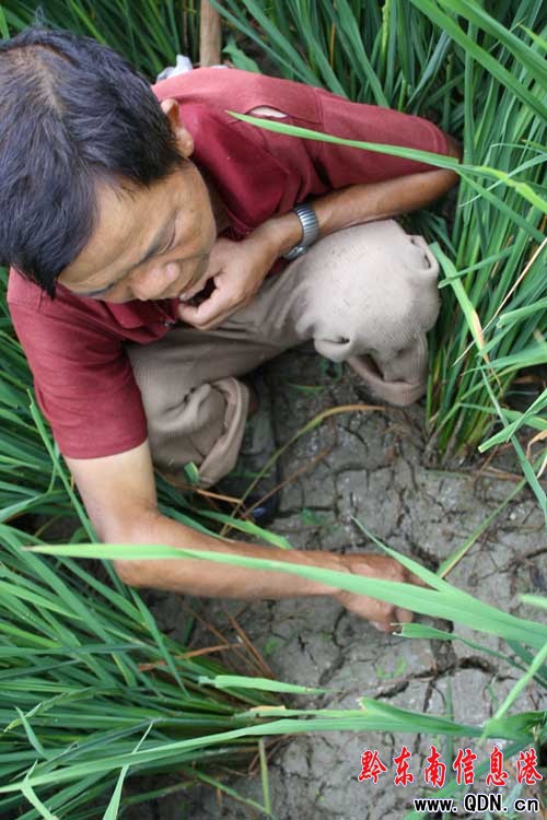 �\���h���^(q��)һ���挍һĻ���M�D��