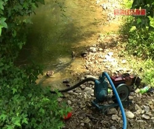 從江:16萬畝農(nóng)作物受災(zāi) 旱情告急(圖)