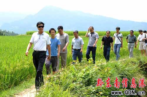 ��կ�hί��ӛ���i�����{(di��o)���Ż�ҕ�캵��(�D)