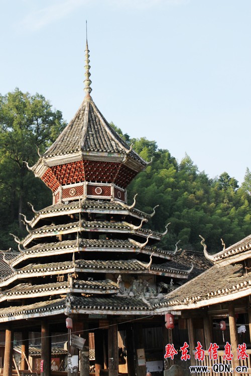 ����������L���p ���ƣ�v���`�҈@�����w�P