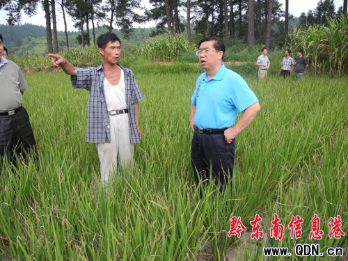 州人大主任羅亮權到銅鼓鎮調研旱情(圖)