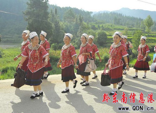 “七月半” 苗族同胞踩鼓賽(組圖)