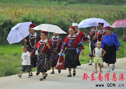 “七月半” 苗族同胞踩鼓賽(組圖)