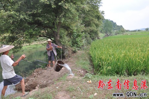 ˮ܇��ˮ ����2000��ˮ���@�ȣ��M�D��