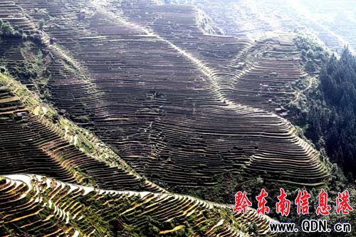 ǭ�|��:�����Ļ����x�޴� ���О��������Ա��o(h��)