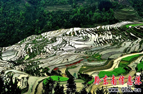 ǭ�|��:�����Ļ����x�޴� ���О��������Ա��o(h��)