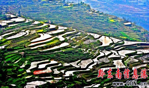 黔東南:梯田文化意義巨大 可列為文物予以保護(hù)