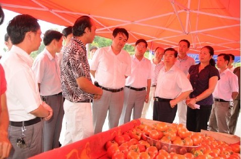 ǭ�|����ί��ӛ�����A���齭ָ�������ȞĹ���