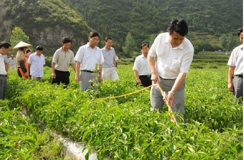 ǭ�|����ί��ӛ�����A���齭ָ�������ȞĹ���