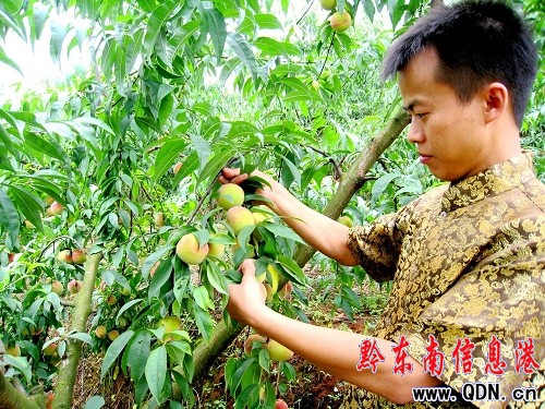 �얿h3000��ˮ���ҠNȻ�����Nʡ�⣨�D��