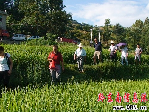 ʡ�r(n��ng)ίˮ���߮a(ch��n)��(chu��ng)���(xi��ng)Ŀ�{(di��o)�нM���P�����{(di��o)��