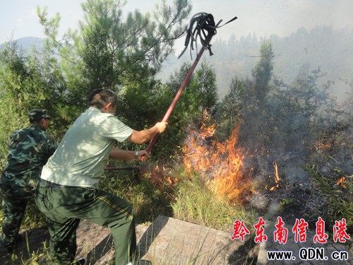 山火肆虐威脅信號塔 施秉消防緊急救援(圖)