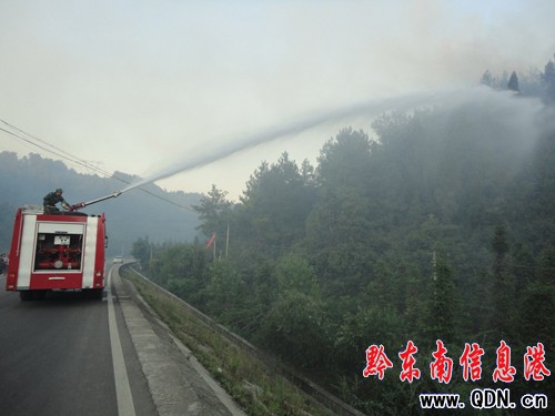 山火肆虐威脅信號塔 施秉消防緊急救援(圖)