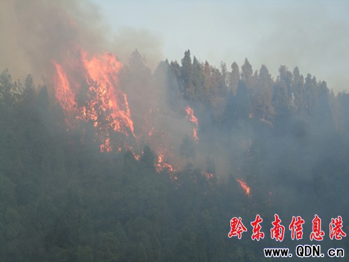 山火肆虐威脅信號塔 施秉消防緊急救援(圖)