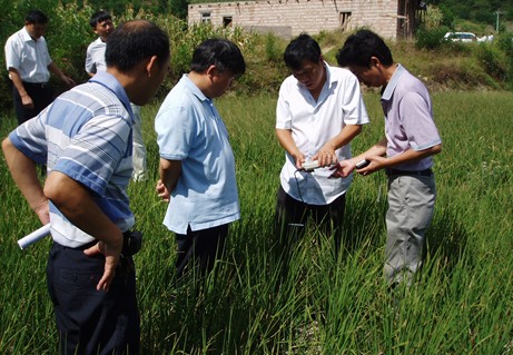 楊宏遠一行到黃平縣檢查指導抗旱救災工作