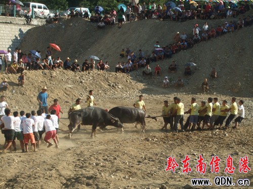 雷山一鄉(xiāng)一鎮(zhèn)
