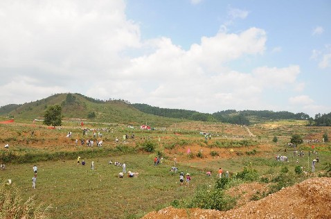 麻江縣千名干部打響萬畝藍莓抗旱保苗大會戰