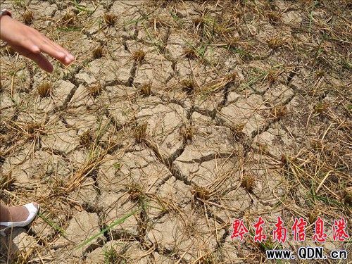 ��կ��ˮ���� ��ɽ����������Ȫ���������D��