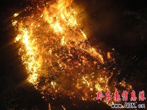 山火猛烈危及民房 施秉消防奮戰九小時撲滅