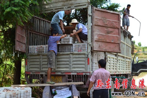 �\���������֮��@�S�� ُ�N�������r��