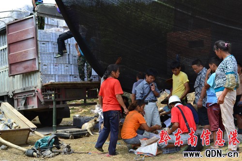 �\���������֮��@�S�� ُ�N�������r��