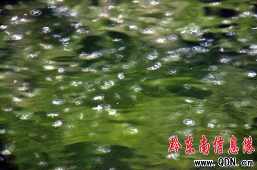 ����ꖺ�ˮ�̾G���� �һ�ˮĸ�֬F���^����