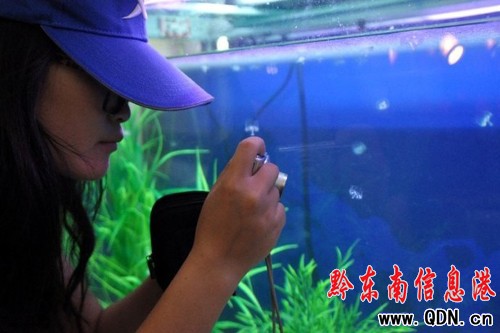 ����ꖺ�ˮ�̾G���� �һ�ˮĸ�֬F���^����