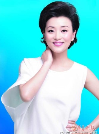 卷入是非漩渦后首度回應質疑 楊瀾后悔未避嫌